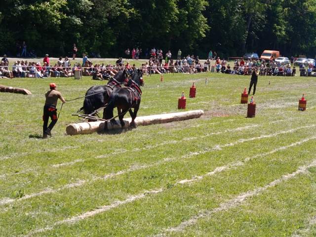 IMG_20260523_124208